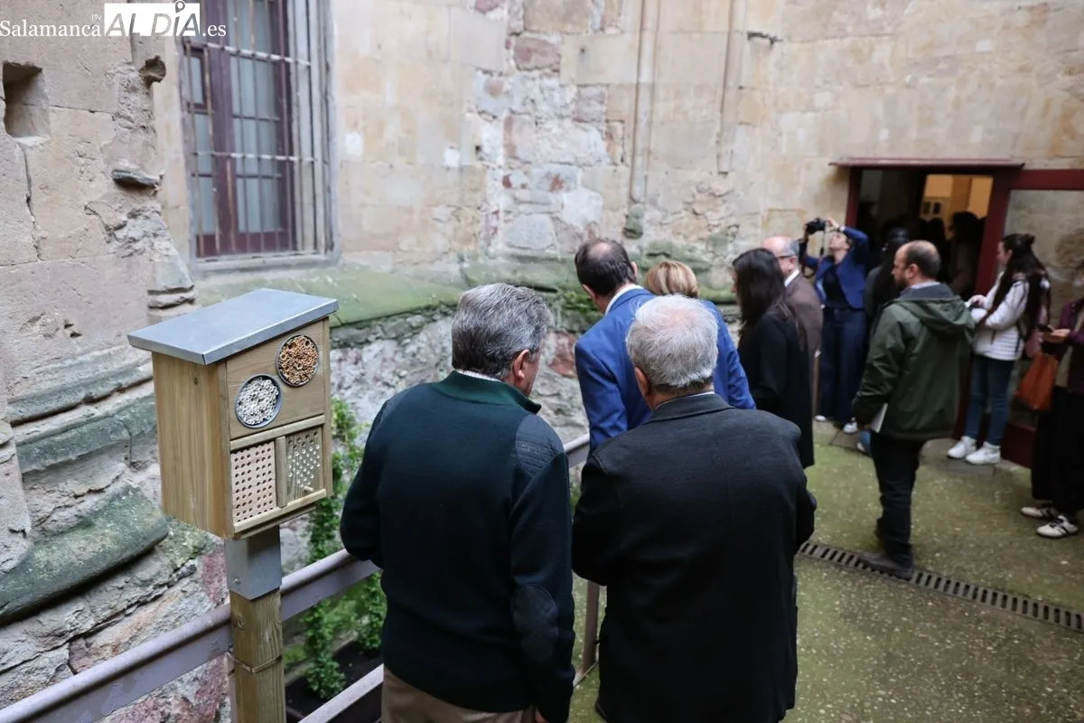 Inauguración del nuevo refugio para insectos en pleno centro de Salamanca, en el patio de la Casa-Museo Unamuno. Foto de David Sañudo