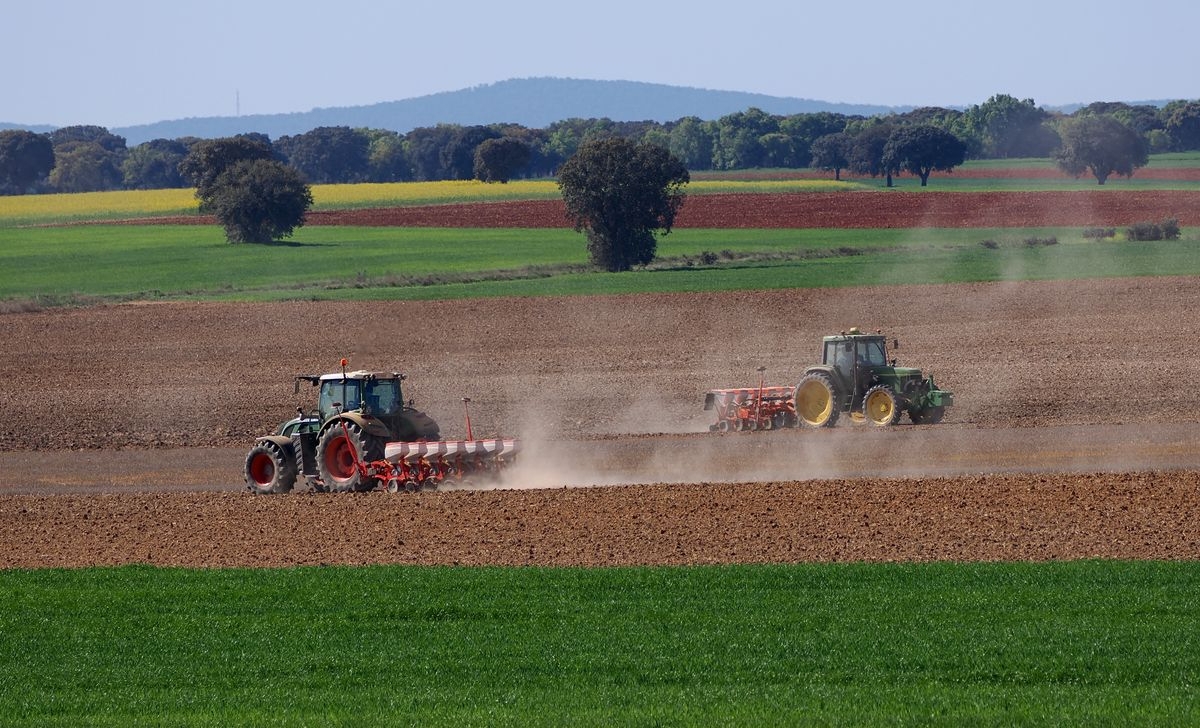 Calzada de Don Diego