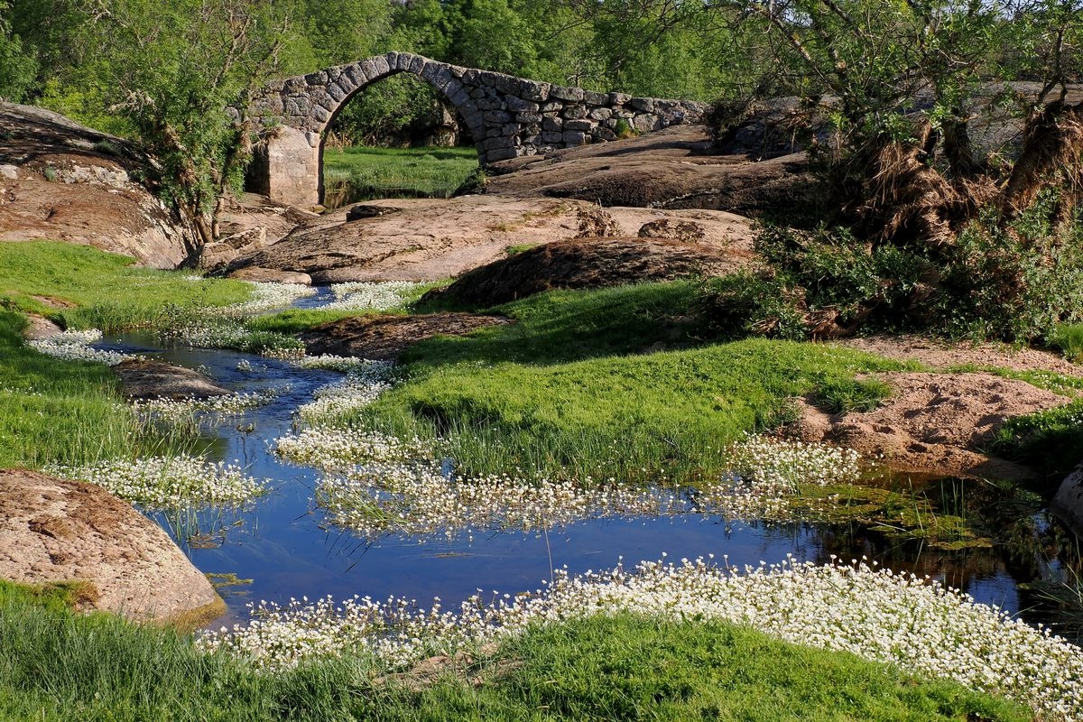 La Mata de Ledesma, Puente de los Diablos