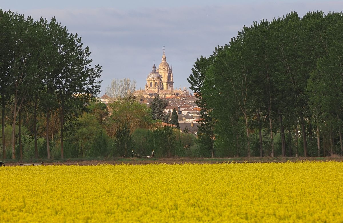 Santa Marta de Tormes