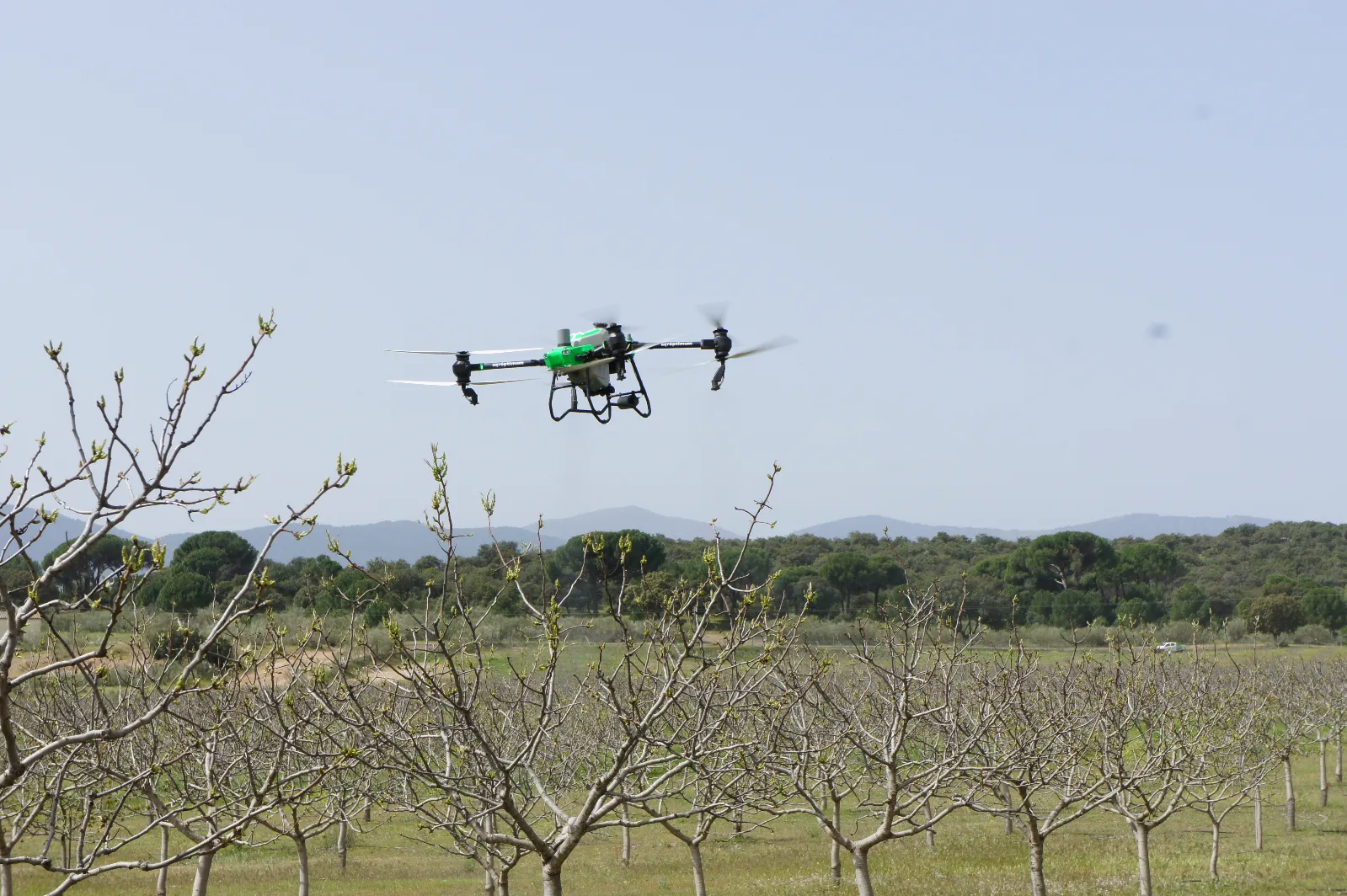 Sancorganic impulsa la innovación en el campo español integrando drones y producción ecológica para mejorar la polinización