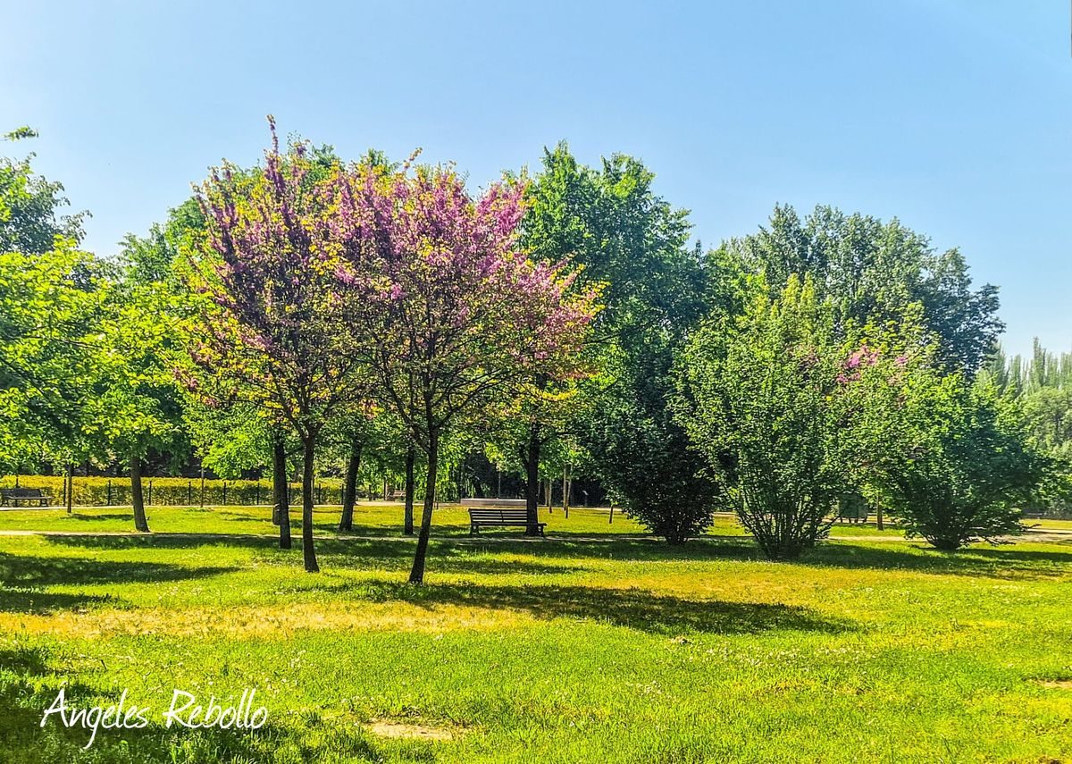 Huerta Otea, Salamanca