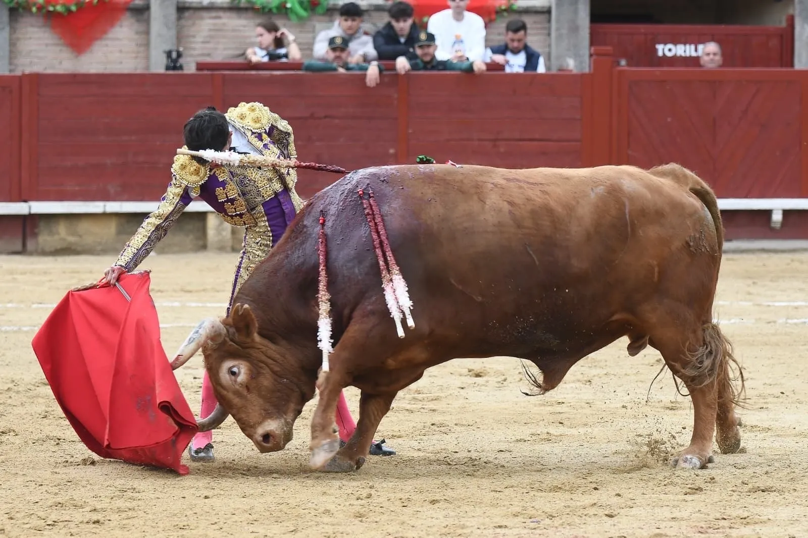 Foto 6 - Manuel Diosleguarde corta una oreja de peso en la Copa Chenel