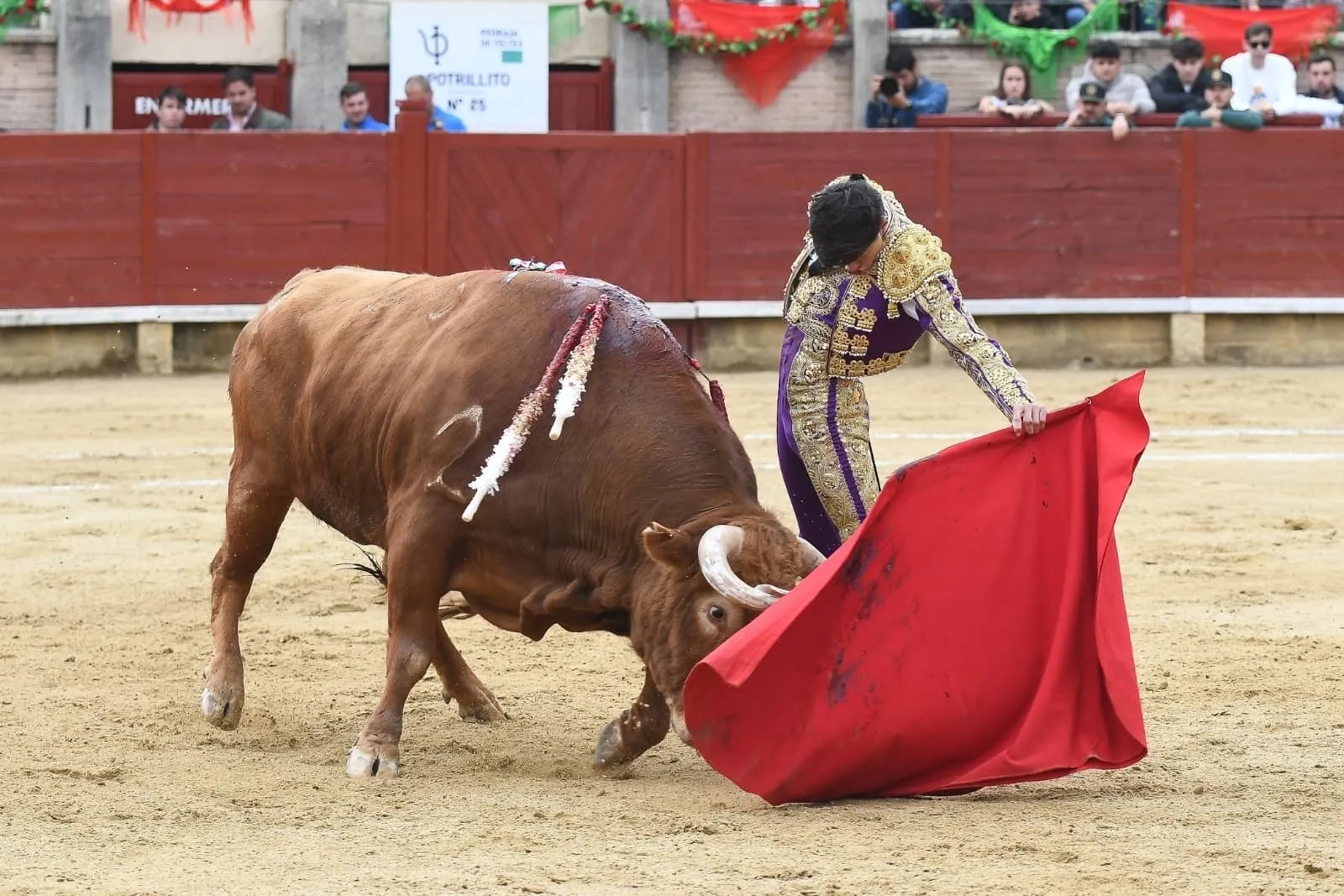Foto 4 - Manuel Diosleguarde corta una oreja de peso en la Copa Chenel