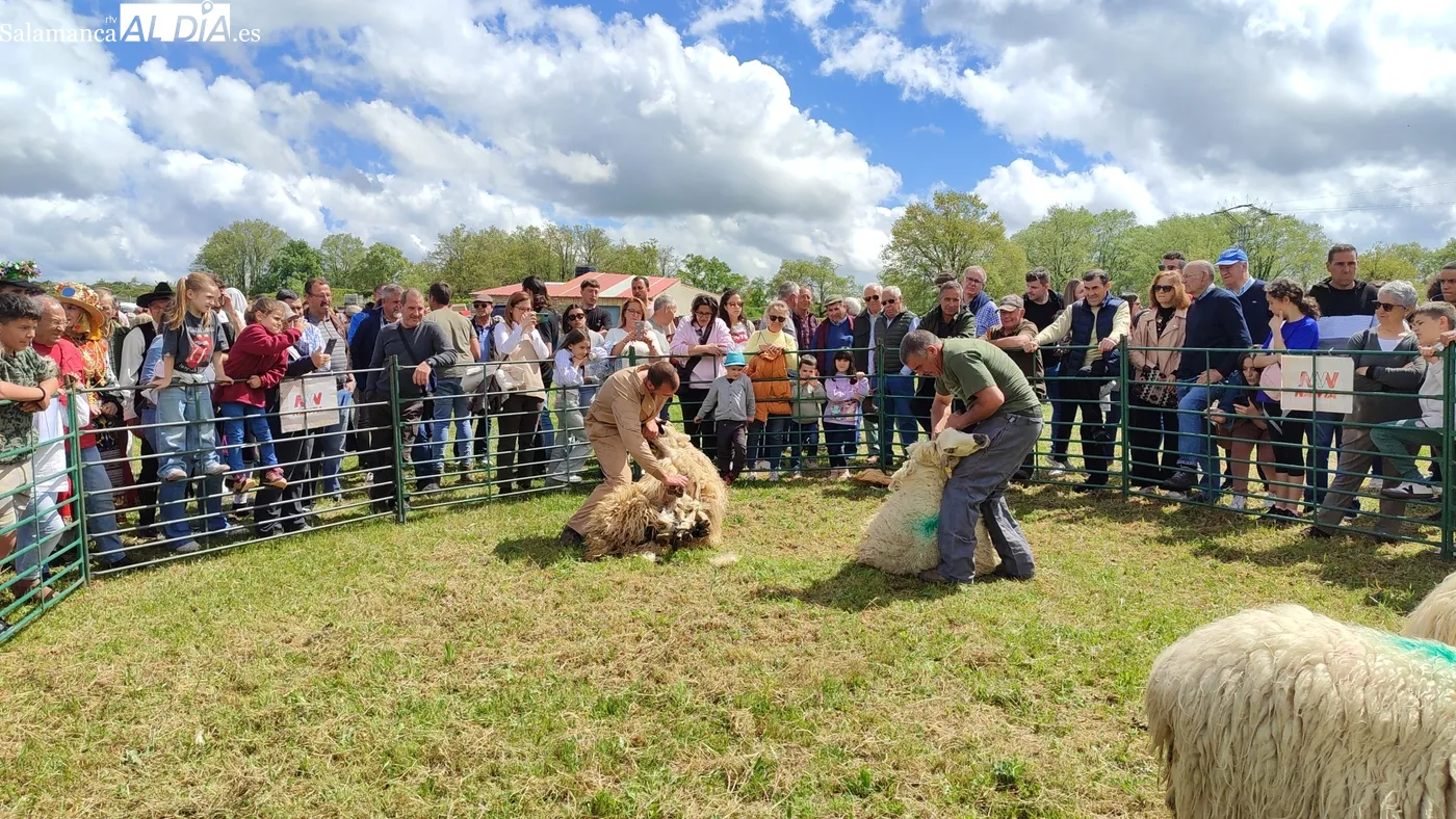Feria de San Felipe en Barruecopardo: programa del 1 de mayo