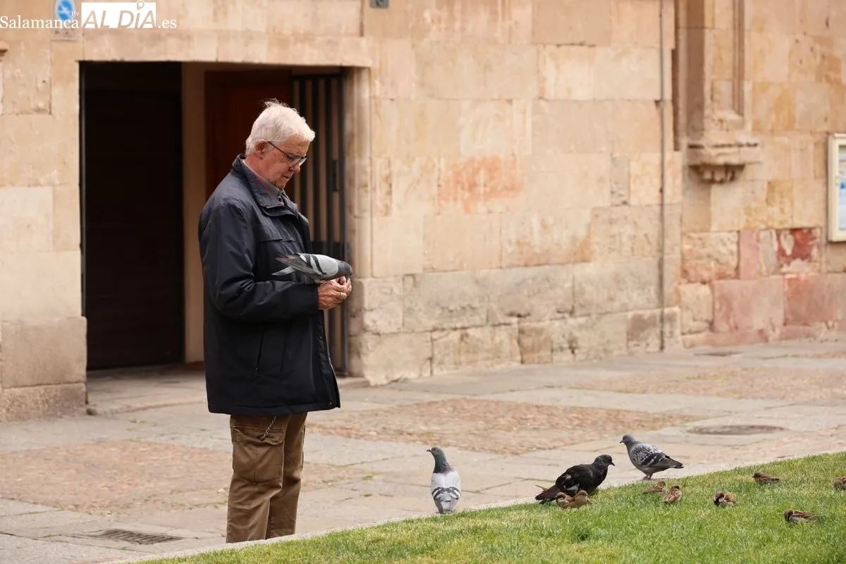 Ambiente en Salamanca este domingo 12 de abril. Fotos: David Sañudo
