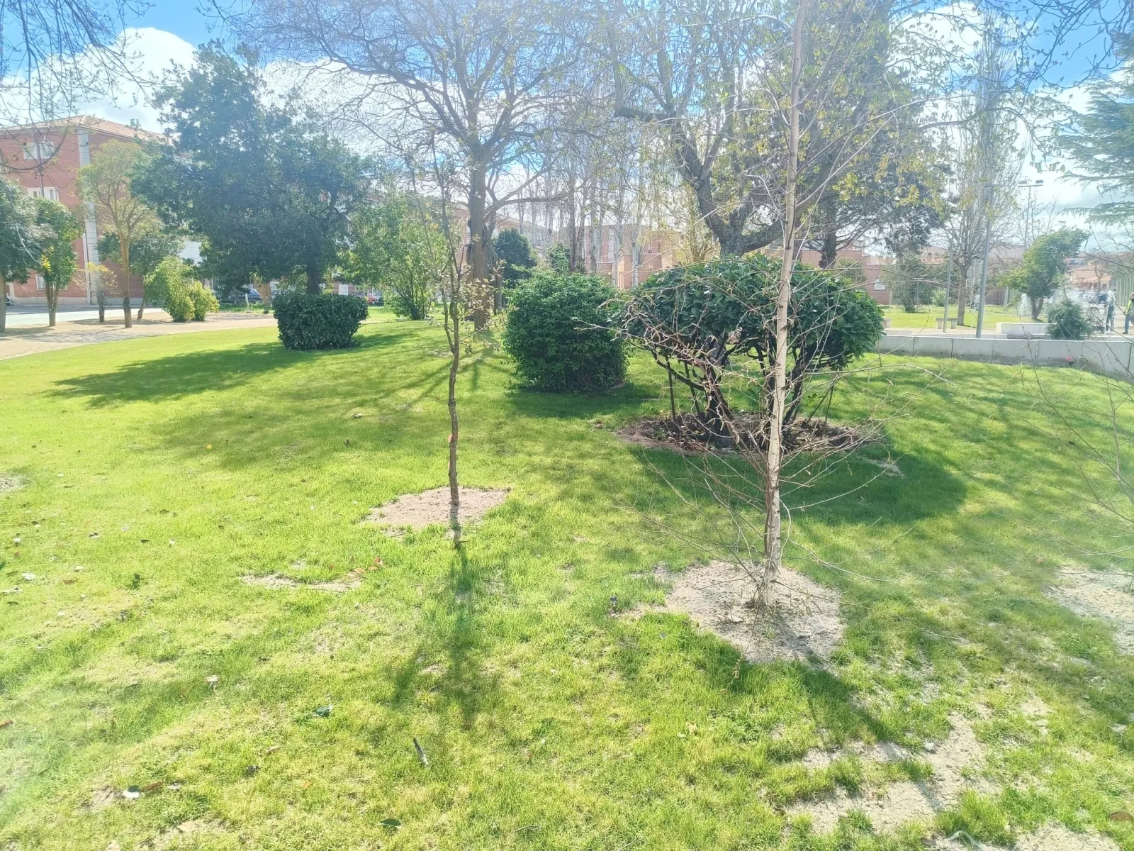 Parque Los Jardines en Peñaranda