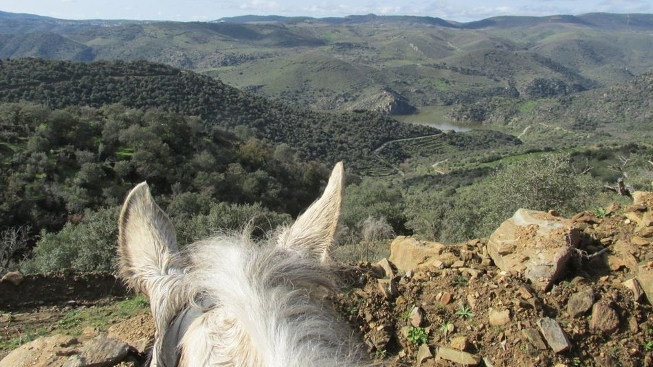 VI Ruta a Caballo en Aldeadávila de la Ribera 2026