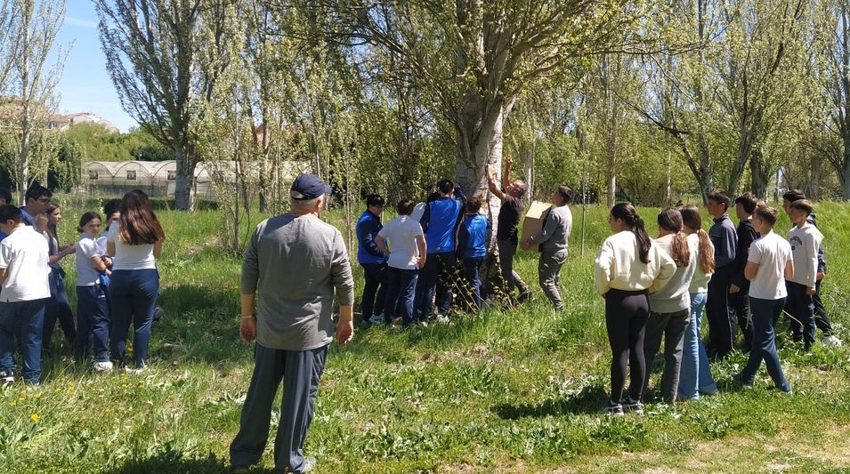 Escolares instalan hoteles de insectos en Alba de Tormes