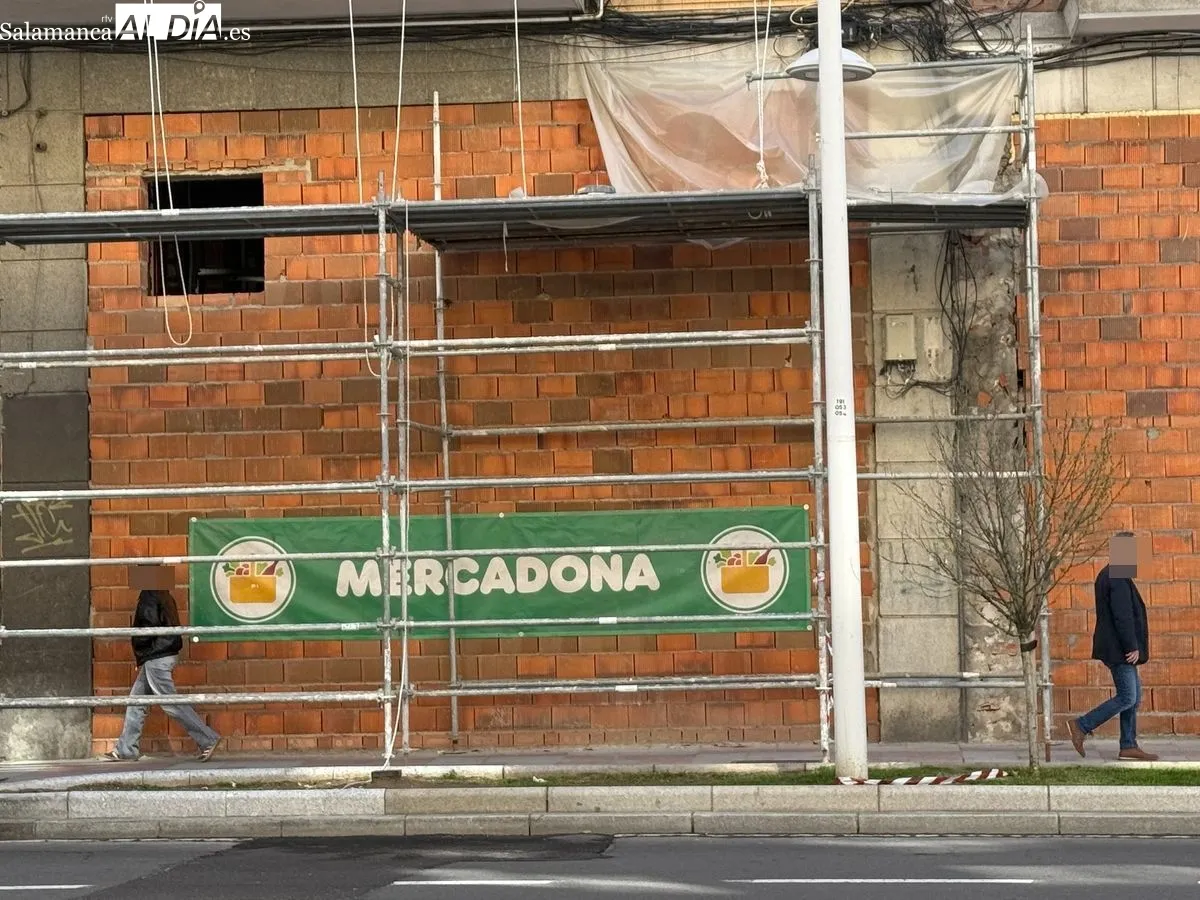 Así van las obras del futuro Mercadona que habrá en Canalejas | FOTOS: Vanesa Martins 