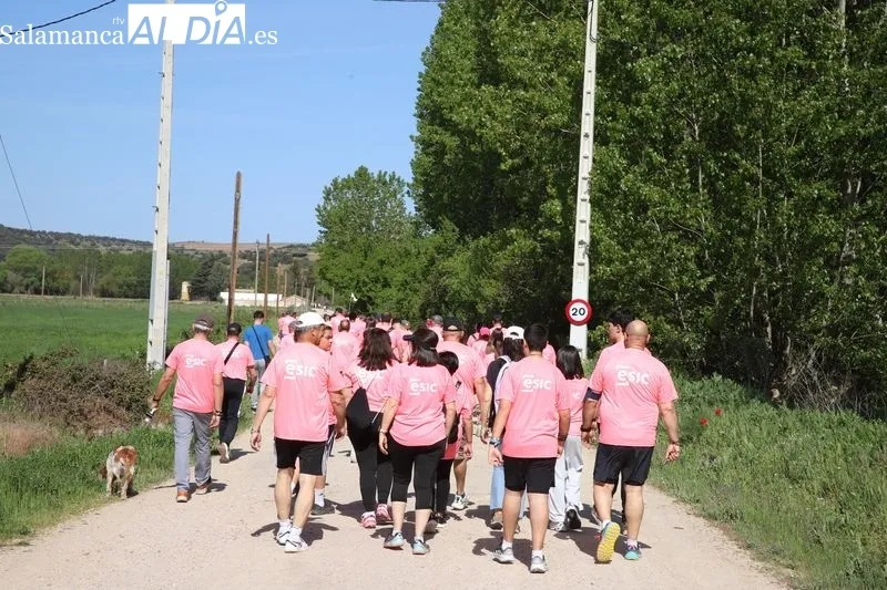 Foto 7 - &Eacute;xito de participaci&oacute;n en el paseo solidario del Colegio Seminario San Jer&oacute;nimo