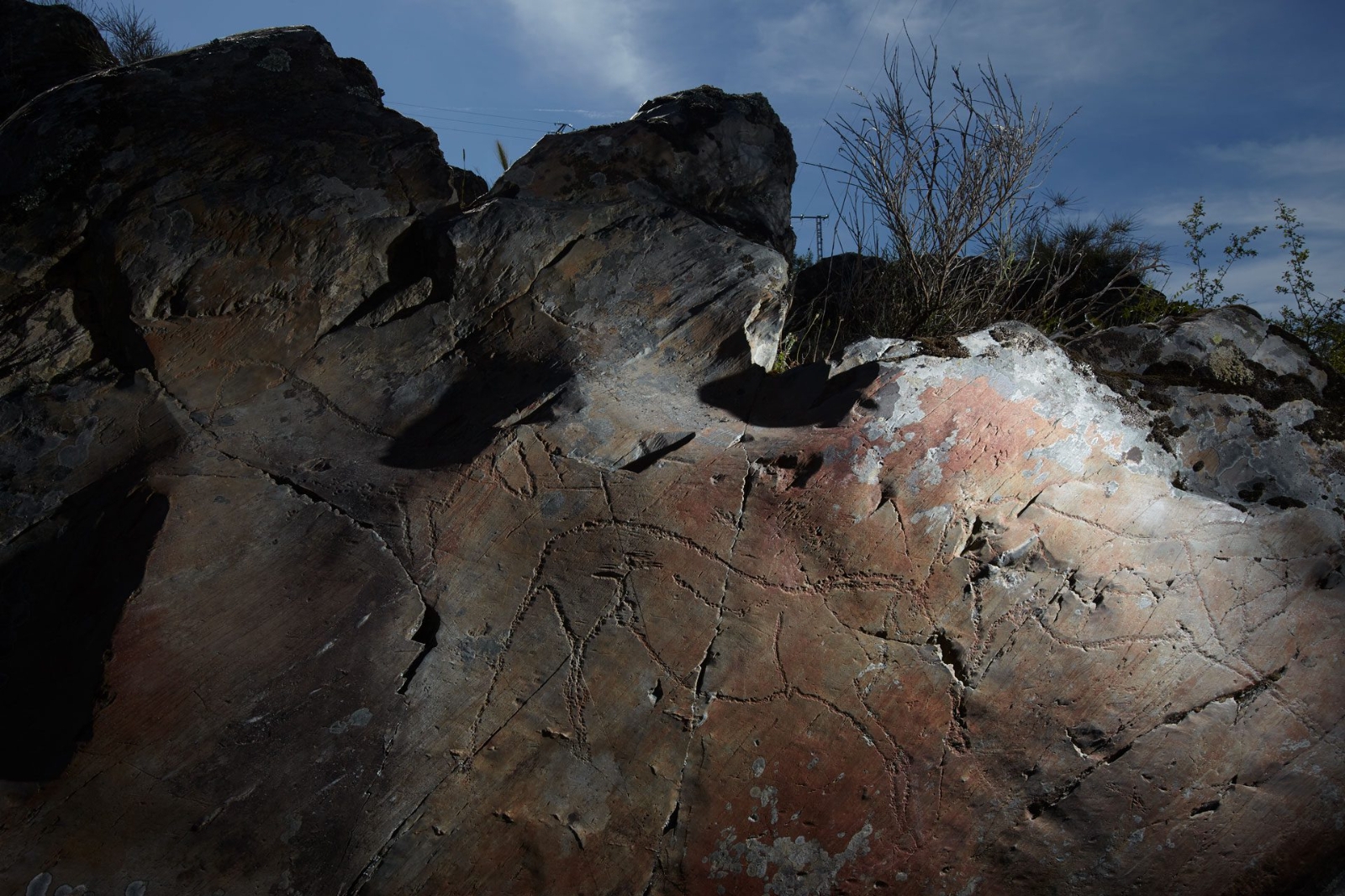 La Fundación Siega Verde impulsa la conservación del arte rupestre con más de medio millón de euros