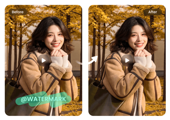 Los 5 mejores removedores de marca de agua para video en 2026