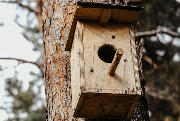 Salamanca mejora la ribera del Tormes con 111.000 euros