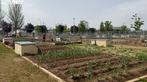 Nuevos huertos urbanos en Salamanca y cambio de reglamento
