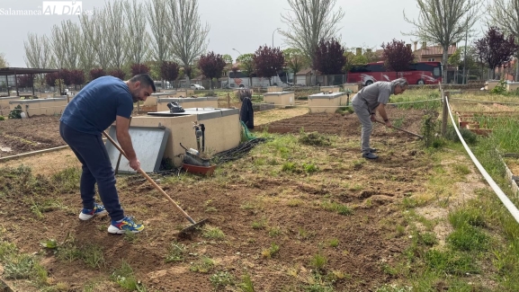 Huertos urbanos en Salamanca: el placer de cultivar