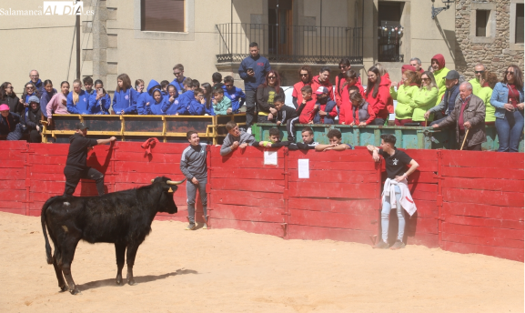 Yecla de Yeltes celebra su primera capea y se prepara para el Lunes de Aguas