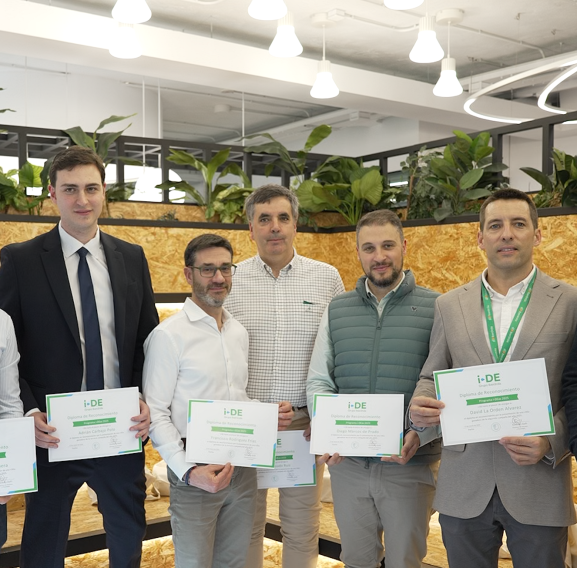 Profesionales de Castilla y León ganan Premios i-DEas Iberdrola