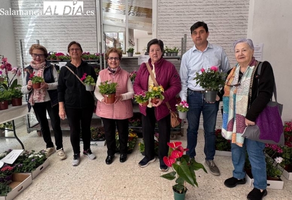 Venta solidaria de plantas de Manos Unidas en Alba de Tormes