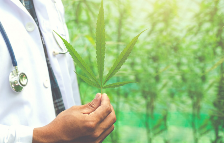 Cannabis medicinal para epilepsia: eficacia y regulación