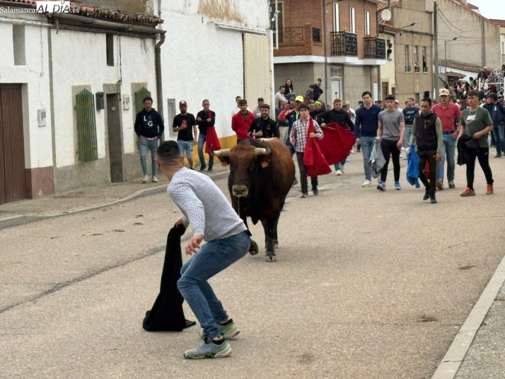 Bravura, quiebros y emoción en el Toro del Voto de Villoría