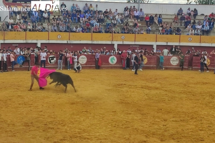 Una gran capea popular abre el fin de semana y la previa a la XVIII Feria Agroalimentaria en Macotera