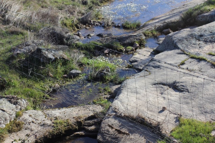 Tiempo de pasión, rito de agua