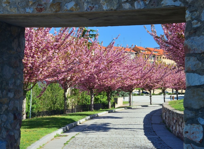 Calle Palma, Salamanca