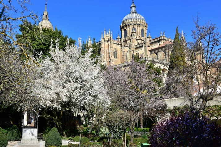 Huerto de Calixto y Melibea