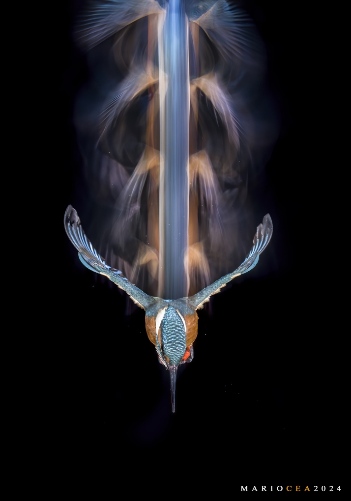 Mario Cea gana el bronce en el Mundial de Fotografía 2026