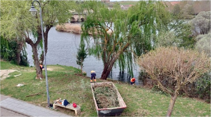 El inicio del Camino de las Aceñas recupera sus vistas al río tras la retirada de flora invasora