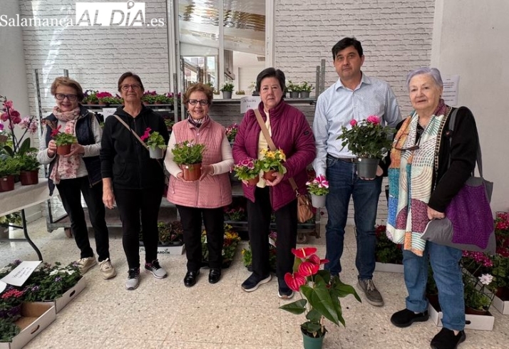 Manos Unidas pone a la venta más de mil plantas solidarias en Alba de Tormes