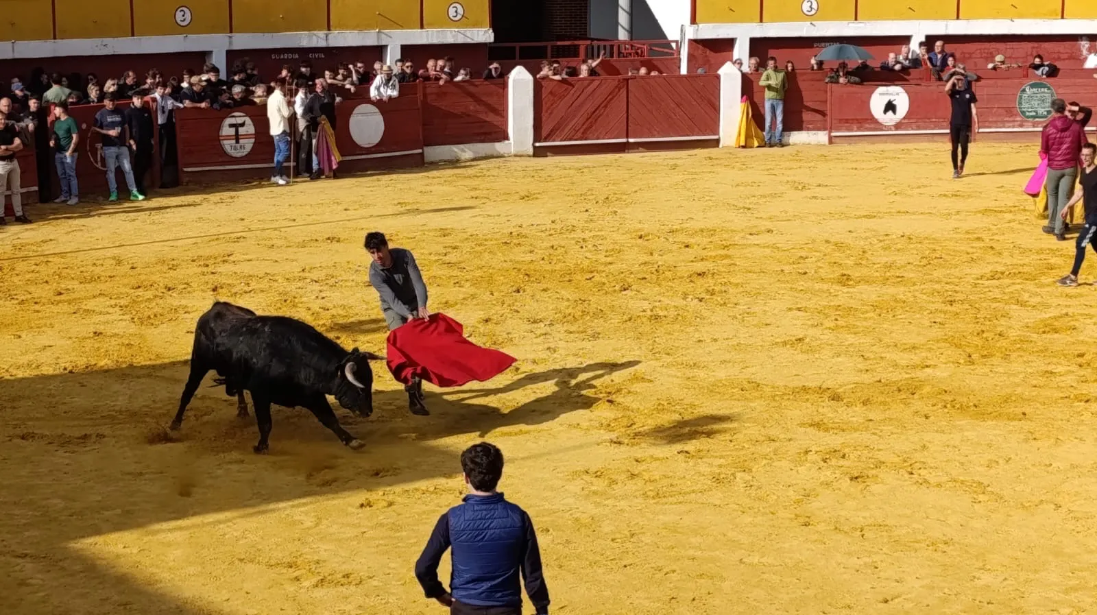 Animada capea popular en una intensa tarde festiva en Macotera