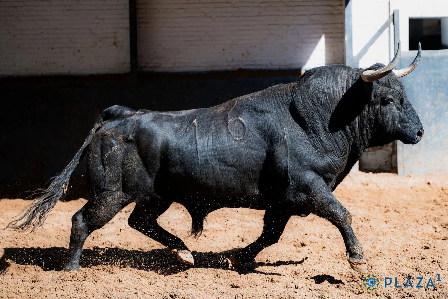 FOTOS: Plaza 1 - Las Ventas
