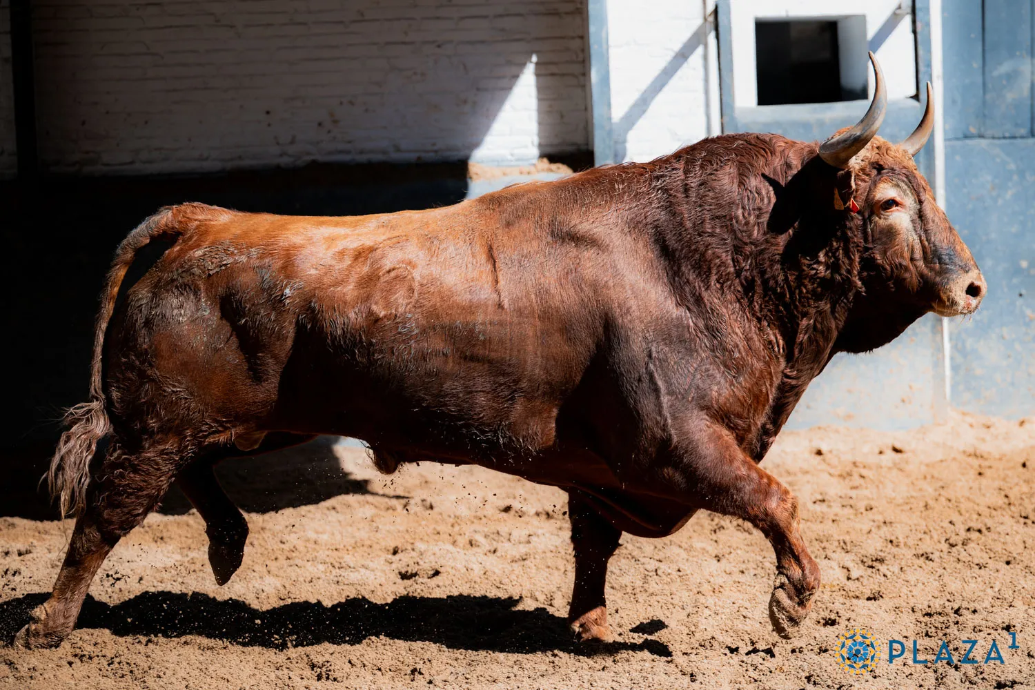 FOTOS: Plaza 1 - Las Ventas