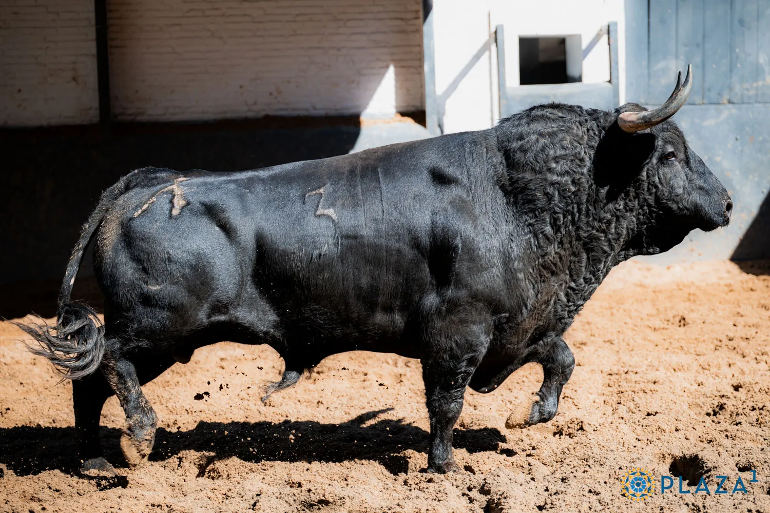 FOTOS: Plaza 1 - Las Ventas