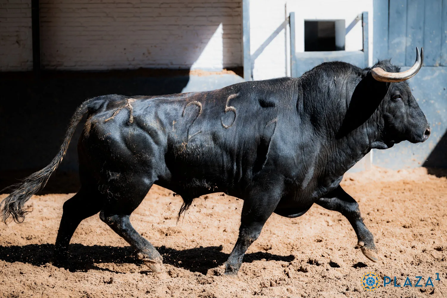 FOTOS: Plaza 1 - Las Ventas