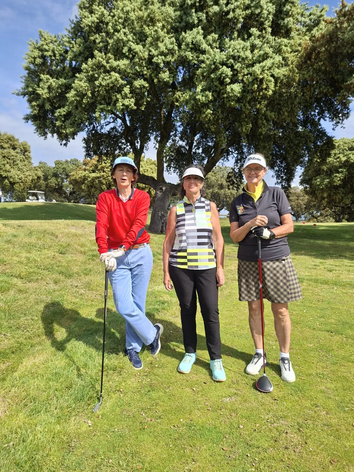 Foto 3 - Cien golfistas se dan cita en el Campeonato S&eacute;nior auton&oacute;mico celebrado en Salamanca