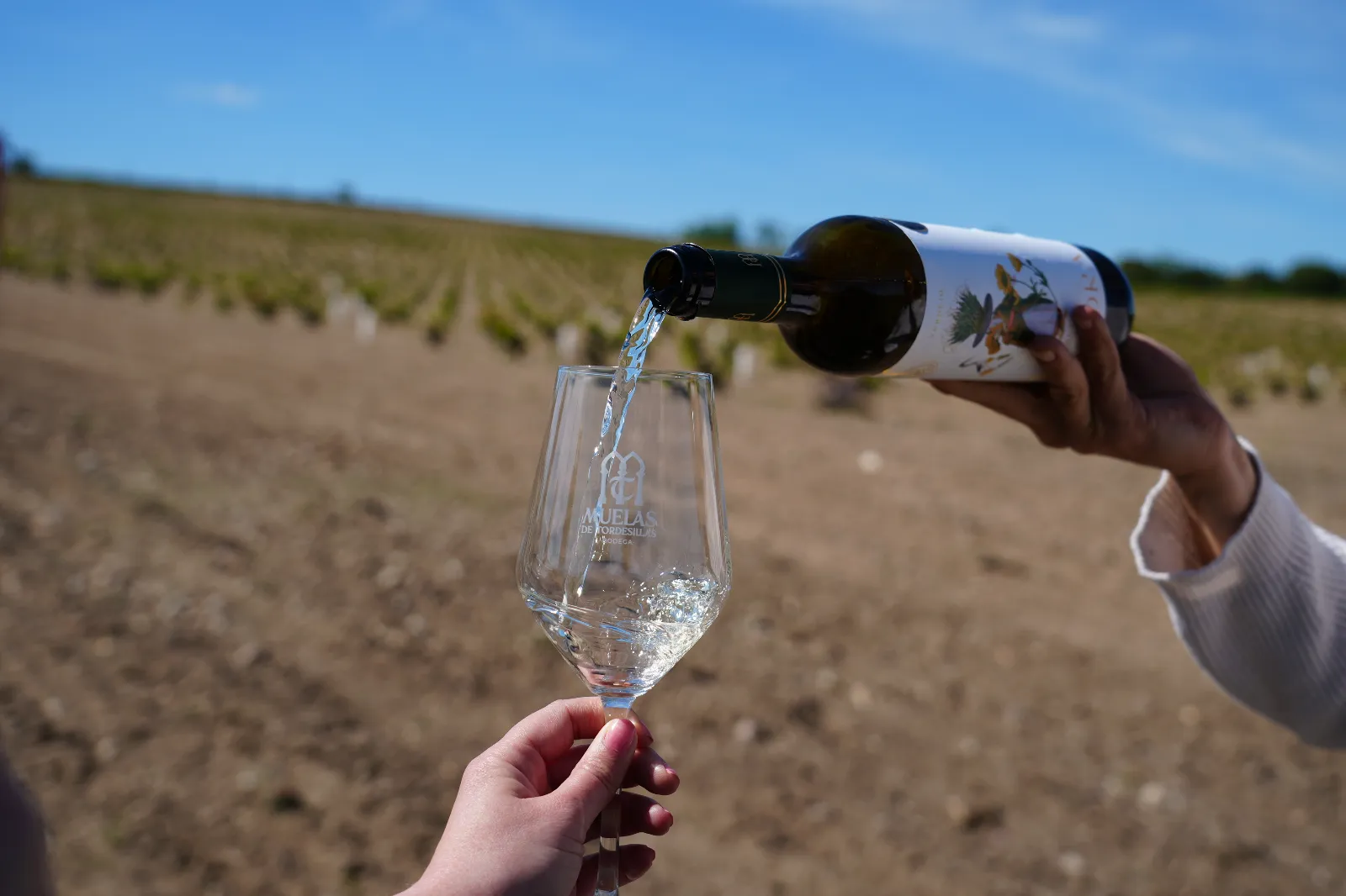 Foto 3 - El paisaje hecho enoturismo: la Ruta del Vino de Rueda dibuja el gran mapa del vi&ntilde;edo singular espa&ntilde;ol