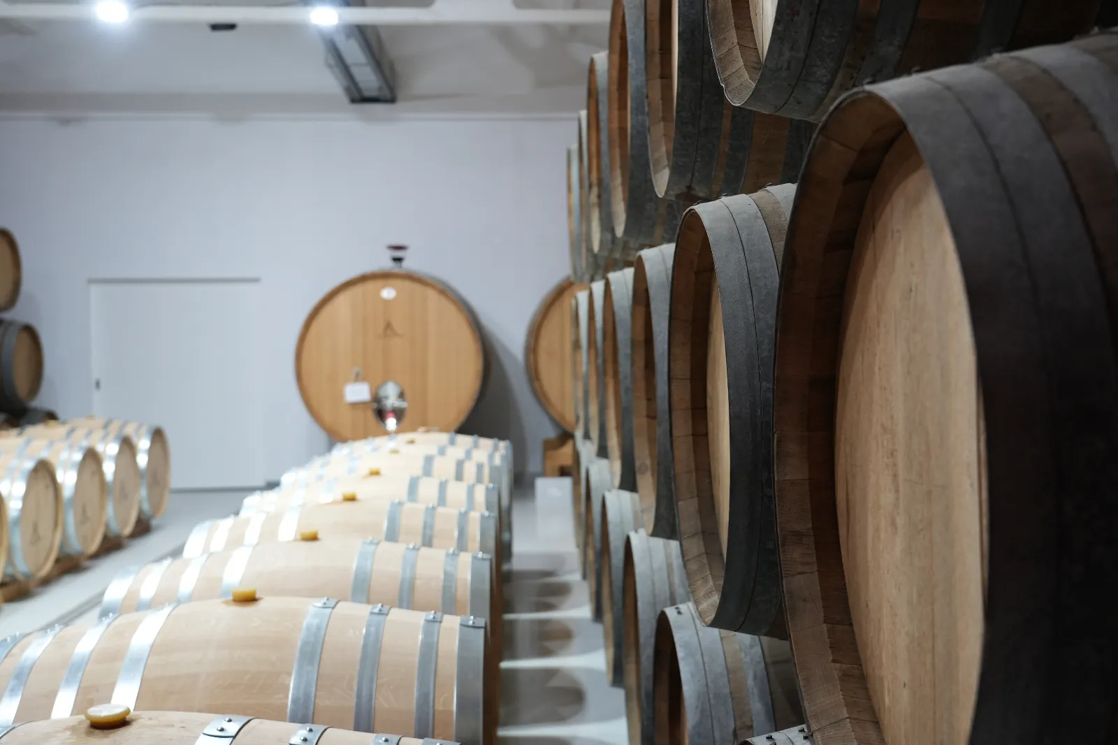 Foto 10 - El paisaje hecho enoturismo: la Ruta del Vino de Rueda dibuja el gran mapa del vi&ntilde;edo singular espa&ntilde;ol
