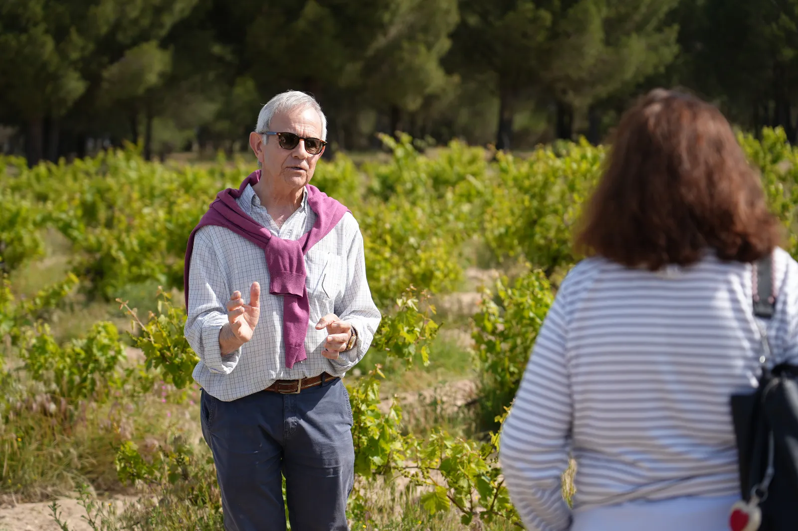 Foto 9 - El paisaje hecho enoturismo: la Ruta del Vino de Rueda dibuja el gran mapa del vi&ntilde;edo singular espa&ntilde;ol