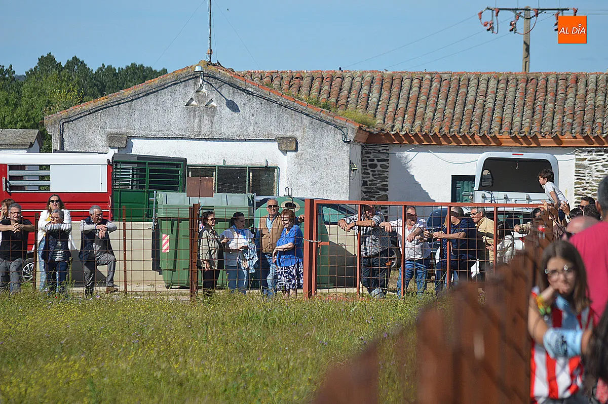 Foto 15 - &Aacute;gueda disfruta del tradicional paseo de bueyes en sus fiestas de San Isidro