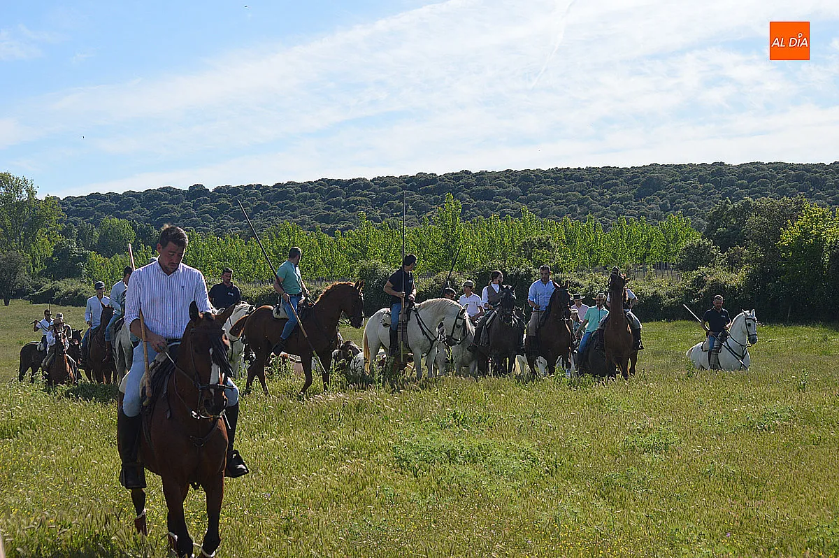 Foto 16 - &Aacute;gueda disfruta del tradicional paseo de bueyes en sus fiestas de San Isidro