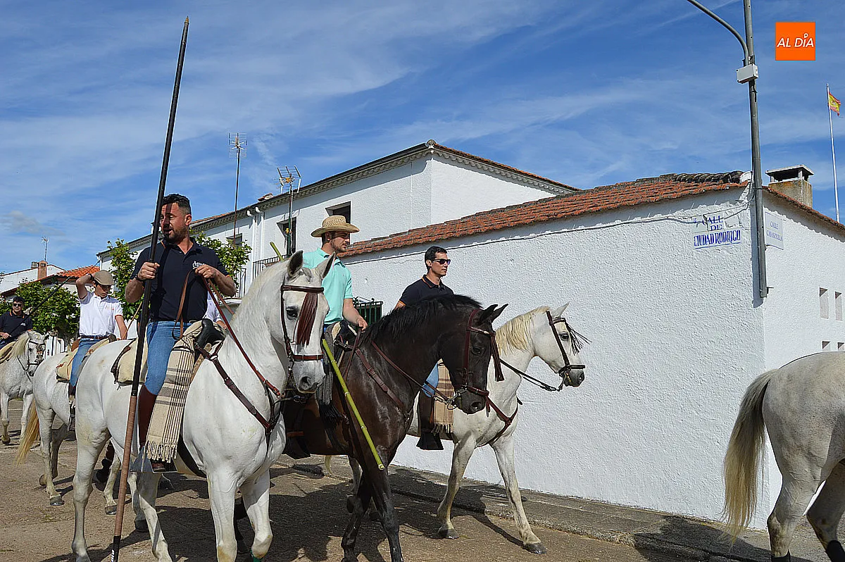 Foto 3 - &Aacute;gueda disfruta del tradicional paseo de bueyes en sus fiestas de San Isidro
