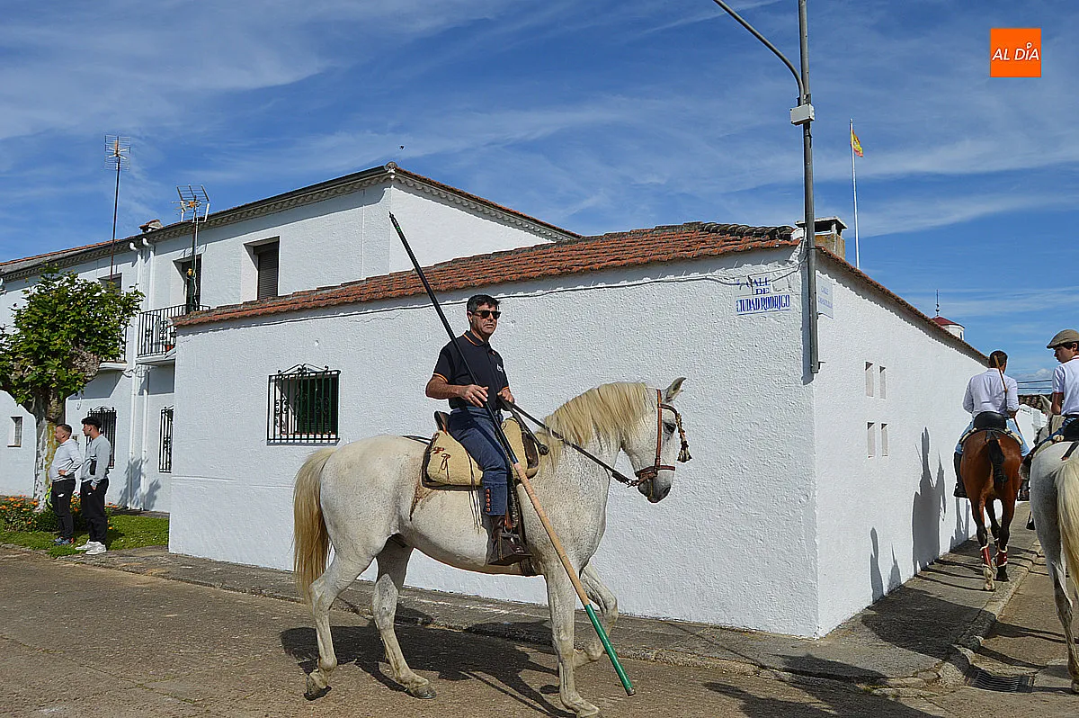 Foto 4 - &Aacute;gueda disfruta del tradicional paseo de bueyes en sus fiestas de San Isidro