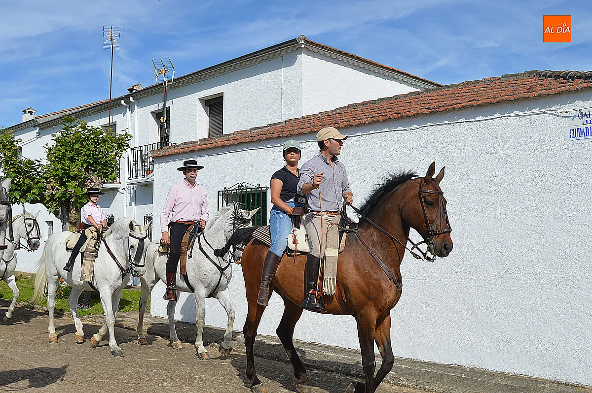 Foto 6 - &Aacute;gueda disfruta del tradicional paseo de bueyes en sus fiestas de San Isidro