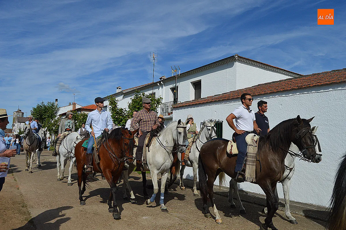 Foto 8 - &Aacute;gueda disfruta del tradicional paseo de bueyes en sus fiestas de San Isidro