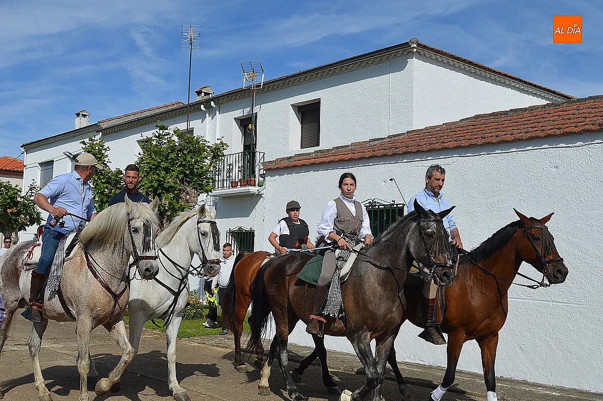 Foto 10 - &Aacute;gueda disfruta del tradicional paseo de bueyes en sus fiestas de San Isidro