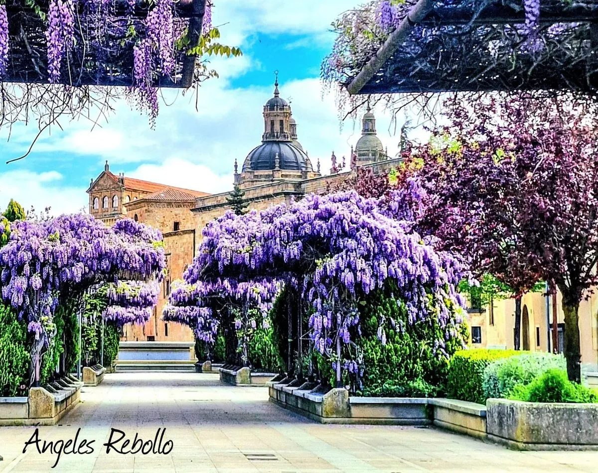 Calle Balmes, Salamanca