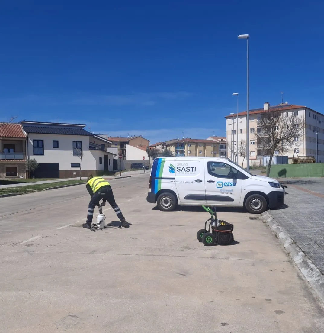 Control de plagas en Ciudad Rodrigo: licitación de 47.000€